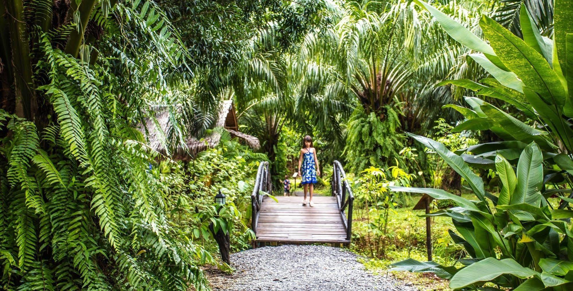 Anurak Community Lodge - Sha Plus Khao Sok National Park Exteriör bild